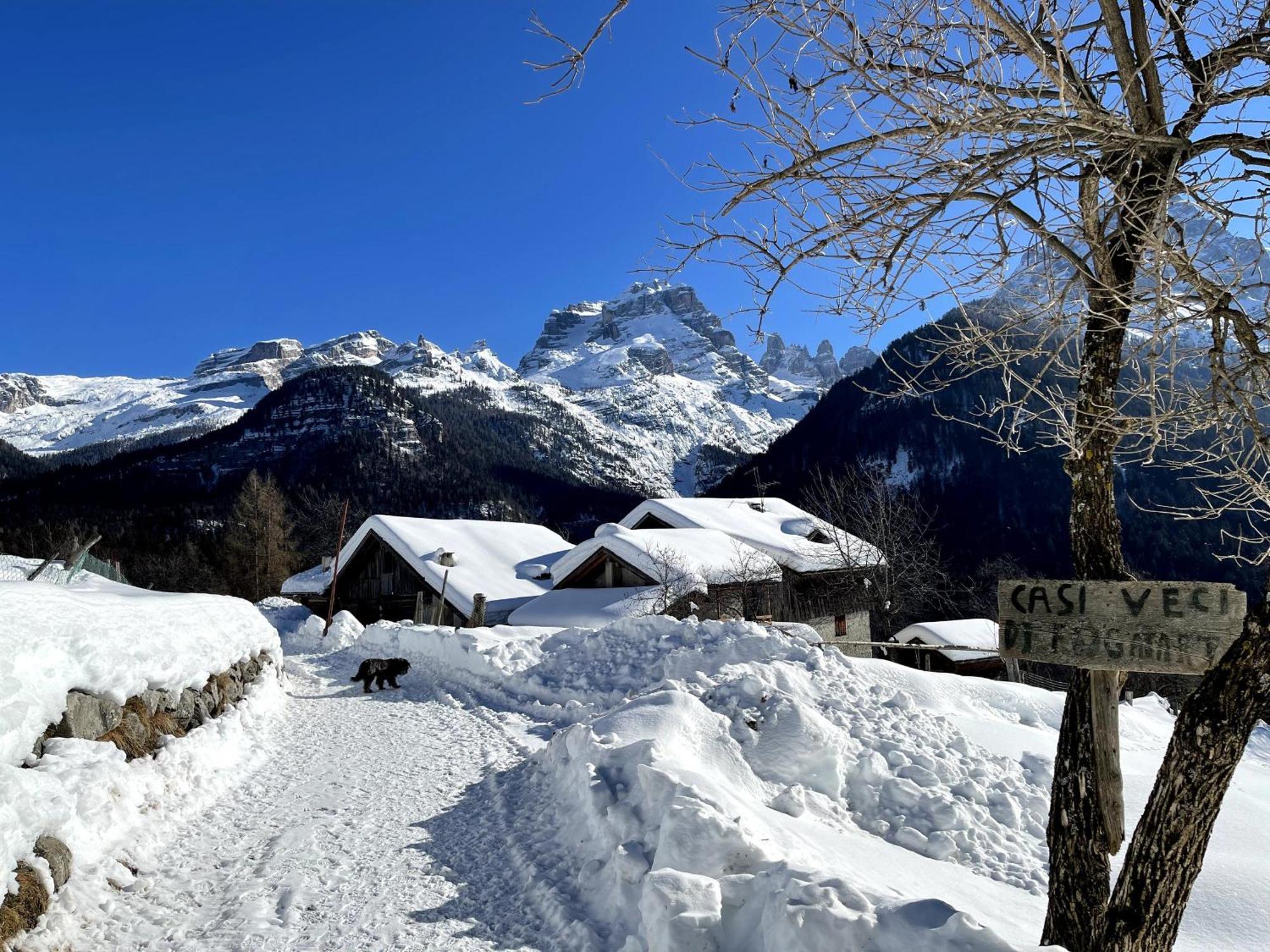Villa Alpina Campiglio Madonna Exteriör bild