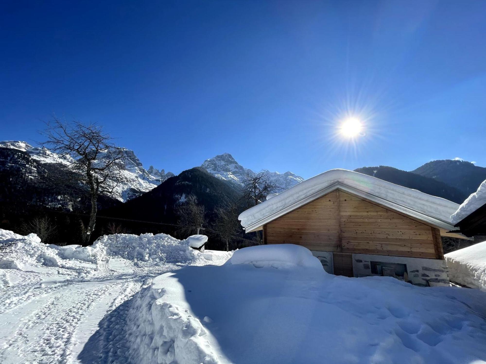 Villa Alpina Campiglio Madonna Exteriör bild