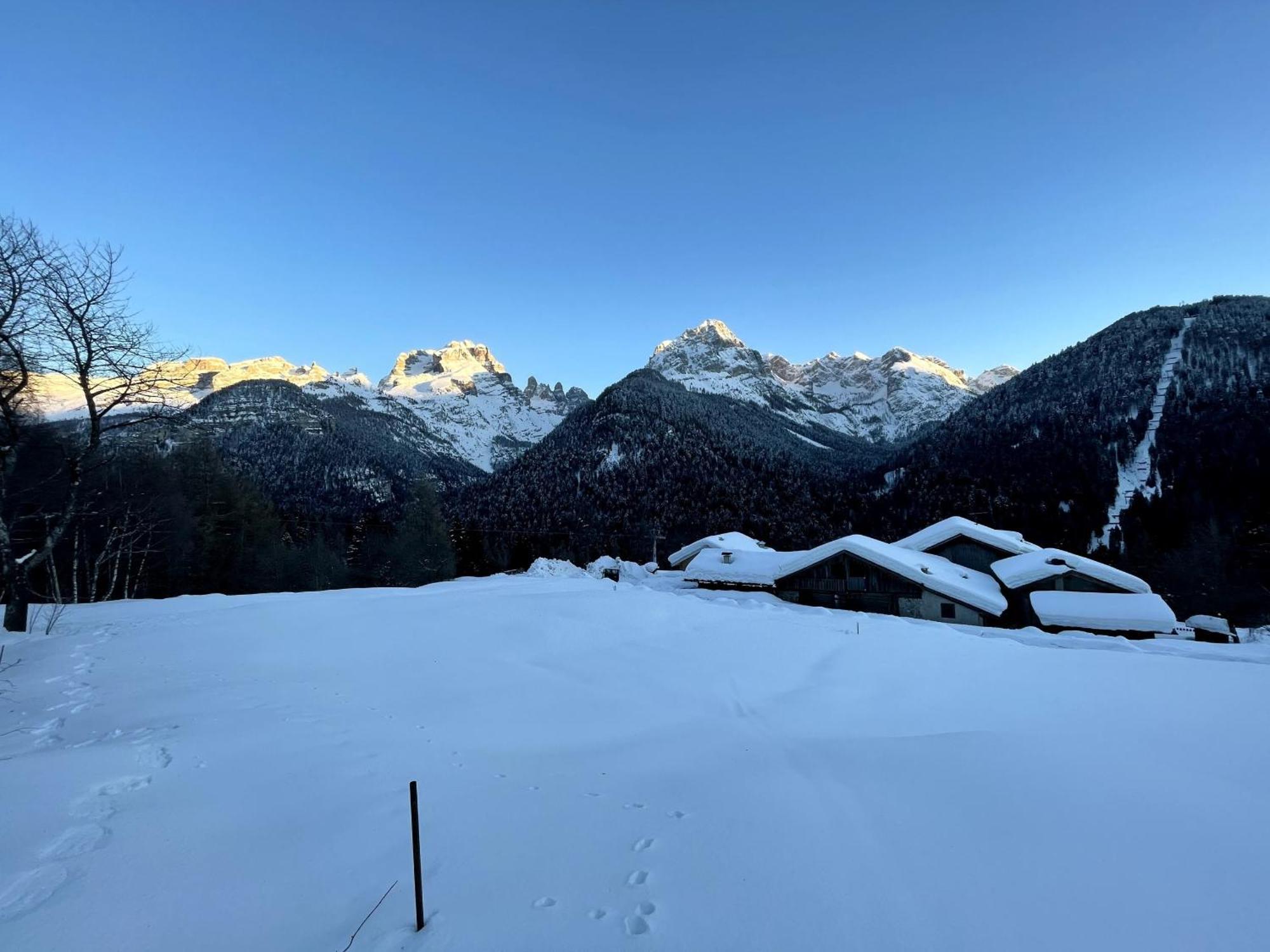 Villa Alpina Campiglio Madonna Exteriör bild